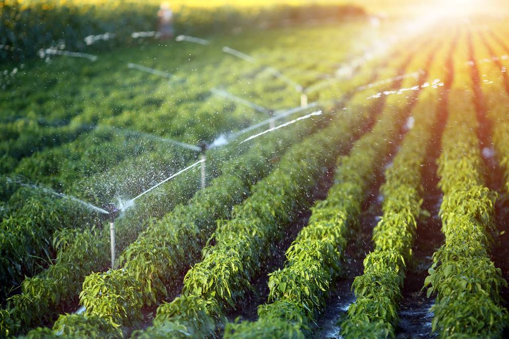 Pradhan Mantri Krishi Sinchai Yojana (PMKSY)