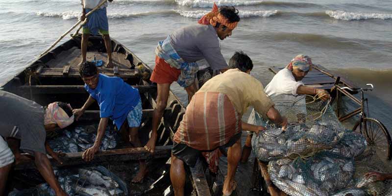 Pradhan Mantri Matsya Sampada Yojana (PMMSY)
