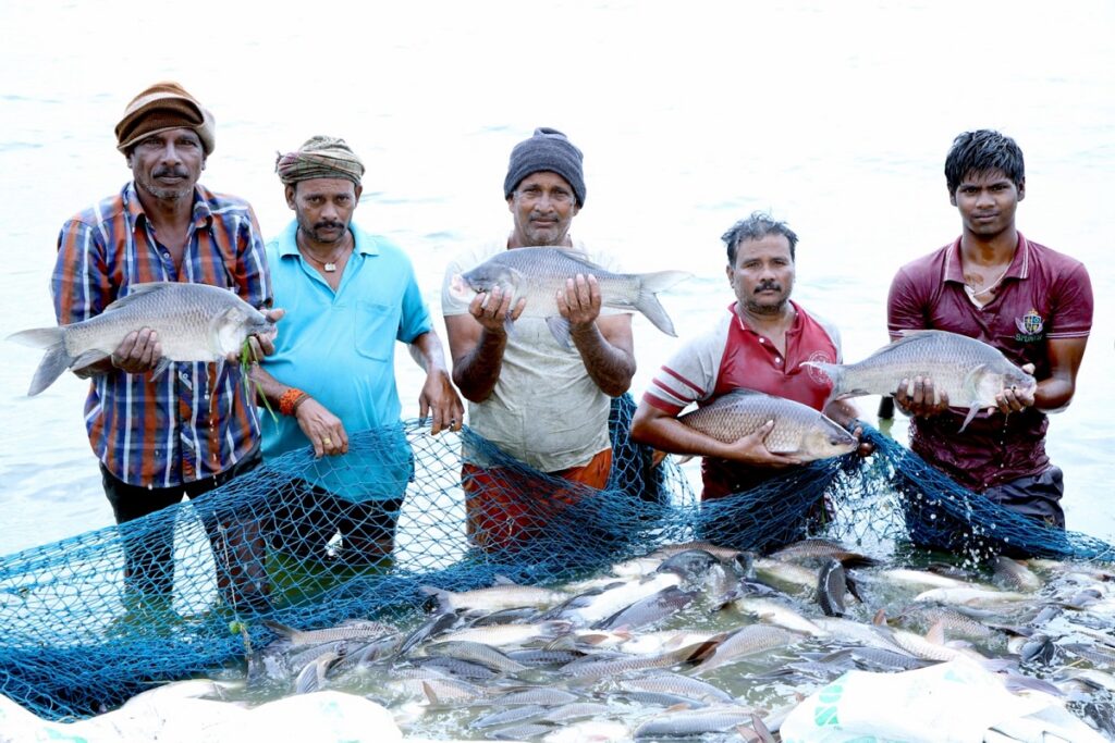 Pradhan Mantri Matsya Sampada Yojana (PMMSY)