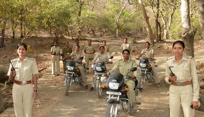Gujarat Forest Department