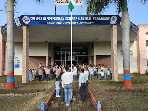 Kamdhenu University Junior Clerk Recruitment 2026