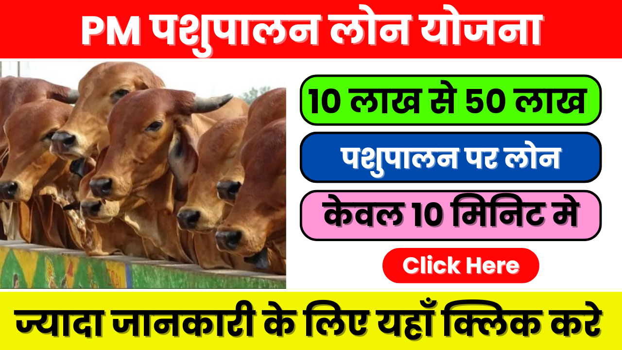 Pashupalan Loan Yojana 2025: ऐसे पाएं सब्सिडी के साथ लाखों का लोन, जानें पूरी प्रक्रिया