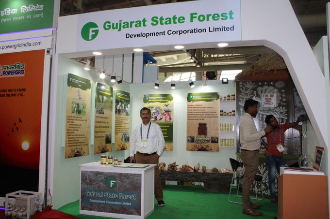 GSFDC Recruitment 2026 