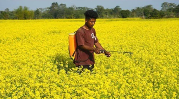 Atmanirbhar Oilseeds Abhiyan